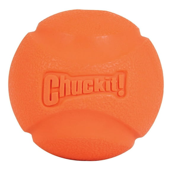 Chuckit ! Grand jouet pour chien avec balle à rapporter