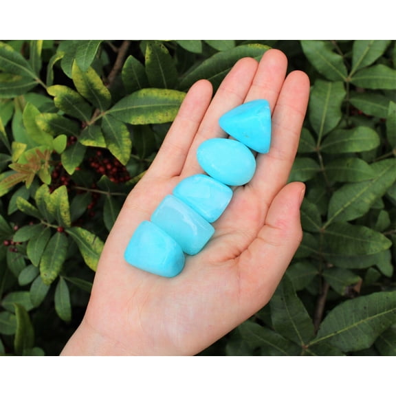 Blue Aragonite: 5 Medium Tumbled Stones (Crystal Healing Tumble Gemstone)