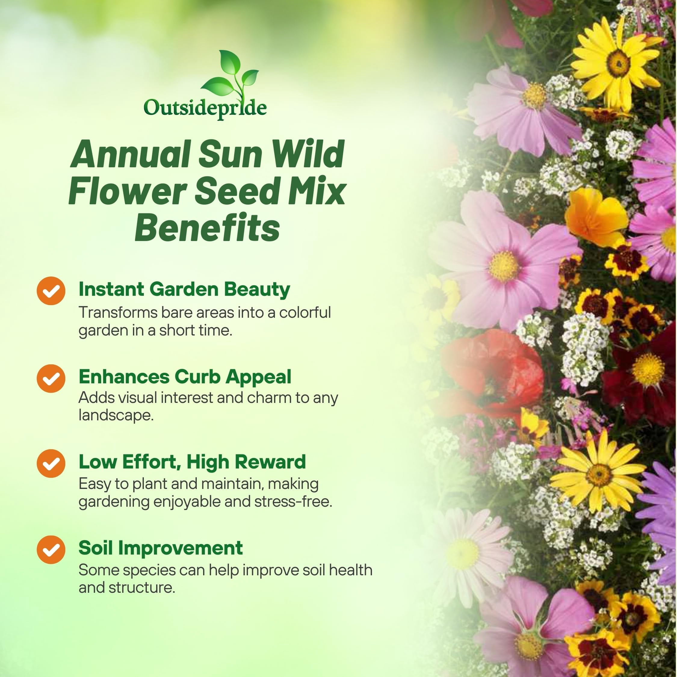 Outsidepride 1 lb. Annual Sun Wild Flower Seed Mix for Sunny Locations