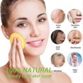 thumbnail image 5 of Pack Of 12 Compact Round Wood Paste Facial Sponges, Makeup Tool, Skin Tone, 5 of 5