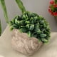 thumbnail image 3 of Planta de Simulación de Plástico Bonsai Bonsai en Maceta para Decoración de de Oficina Blanco, 3 of 9