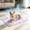 Pink,Light Blue,Light Gray,Beige,Mint Green, variant on Summer Cooling Gel Pet Mat, Breathable Ice Pad for Dogs and Cats, Non-Slip Washable Pet Cooling Bed Mat, Portable Pet Cool Sleeping Pad for Indoor Outdoor Car Seat and Home Use