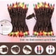 thumbnail image 4 of Cadena de luces GLOWNOVA 100 minibombillas incandescentes multicolores, 4 of 7