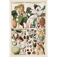 thumbnail image 3 of Unknown 13x18 Black Modern Framed Museum Art Print Titled - Magnolia Chart, 3 of 5