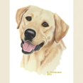 thumbnail image 3 of CafePress - Yellow Labrador Ash Grey T Shirt - Men's Classic Graphic T-Shirt, 3 of 4