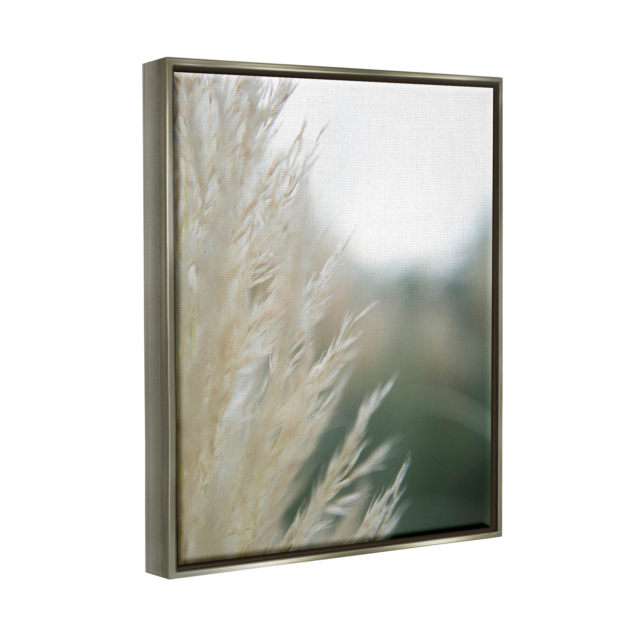 Stupell Industries Close Up Country Pampas Grass Photograph Luster Gray Floating Framed Canvas Print Wall Art, Design by Jason Johnson