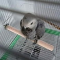thumbnail image 4 of Parrot Pet Wood Hanging Stand Rack Toy Bird Parrot perches Cage Branch Perches Stand, 4 of 5
