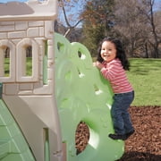 Little Tikes Rock Climber & Slide