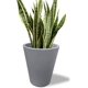 thumbnail image 1 of Maceta Plastico Redonda con Drenaje, 38 cm x 33 cm gris 6.49 pulg Elly Decor ED-MRP01WH, 1 of 12