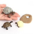 thumbnail image 4 of Milaget Simulation Animal Marin Cycle Apprentissage Géochelone, 4 of 9