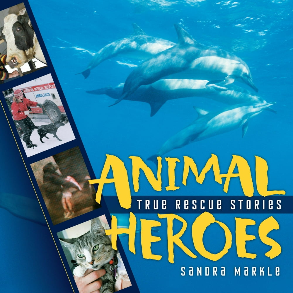 Animal Heroes (Hardcover)