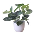 thumbnail image 1 of Artificial Potted Plant Leaf Simulation Leaves Home Office Desktop Greenery Decoration, 1 of 4