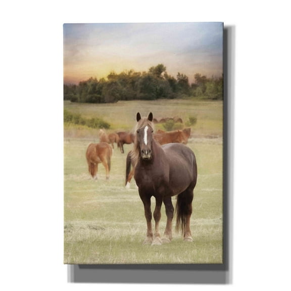 Epic Graffiti 'Jackson Horse Farm' by Lori Deiter, Canvas Wall Art, 40"x60"