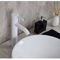 thumbnail image 3 of Kit Platz B Esatto® Paquete DE Precio Mejorado con Lavabo Llave Blanca y Desagües Listo PARA Instalar, 3 of 4