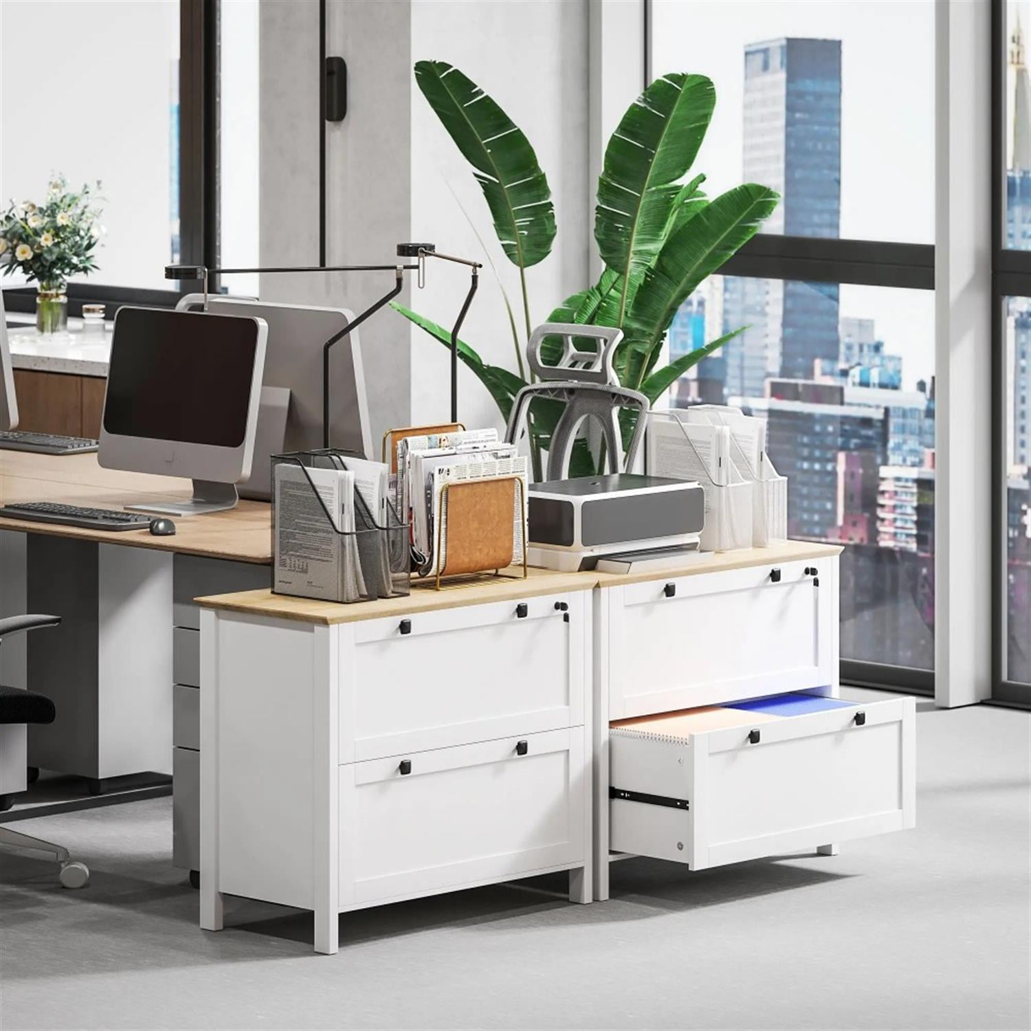 Demi Bonn Modern 2-Drawer Filing Cabinet with Adjustable Hanging Bar, for Letter, A4 and Legal Size, Home Office, Lateral File Cabinet, White