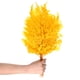 thumbnail image 1 of Paquete de 10 helechos, hojas secas naturales de 15" con tallos para manualidades de resina, decoraciones de boda en casa, plantas secas [Amarillo], 1 of 7