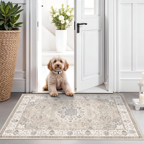 RLESO Washable 2x3 Entryway Area Rug - Neutral Kitchen Rug Runner Vintage Soft Floor Mat Non Slip Indoor Farmhouse Carpet for Bathroom Living Room Bedroom (2 X 3,Beige)