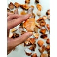 thumbnail image 4 of Raw Carnelian Crystals Bulk Wholesale Rocks for Tumbling Healing Décor Accents, 4 of 5