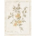 thumbnail image 2 of Wild Apple Portfolio 19x24 Black Ornate Wood Framed with Double Matting Museum Art Print Titled - Flowers on White II with Words, 2 of 4