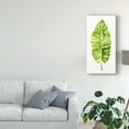 thumbnail image 3 of Trademark Fine Art 'Banana Leaf Study I' Canvas Art by Grace Popp, 3 of 4