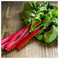 thumbnail image 5 of Everwilde Farms - 200 Ruby Red Swiss Chard Seeds - Gold Vault Jumbo Bulk Seed Packet, 5 of 5