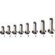thumbnail image 4 of Varios Tornillos de Rosca de Cabeza Plana de M2 / M3 // M5 / M6 Allen Socket , Plata * 15 Macarena Tornillos Allen, 4 of 6