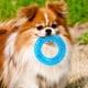 thumbnail image 3 of GOOHOCHY Chew de perros Chew Toy Puppy Anillo de dentición Freeze Chew Toy para juguete para mascotas de verano Toyé Toy, 3 of 7