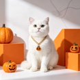 thumbnail image 6 of Halloween Pet Charm Necklace Collar, Cute HalloweenâElement Pendant Decorative Gold Chain Necklace, Pet Accessory for Cats & Small Dogs Halloween Party Dressâup, 6 of 6