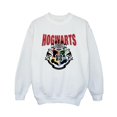 thumbnail image 1 of Harry Potter Boys Hogwarts Emblem Sweatshirt, 1 of 4