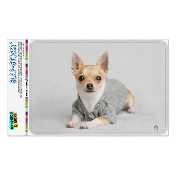Chihuahua Little Dog in a Sweater Home Business Office Sign