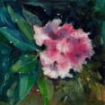 thumbnail image 2 of Doyle, Anne Farrall 20x20 Gold Ornate Wood Framed with Double Matting Museum Art Print Titled - Rhododendron Portrait II, 2 of 4