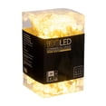 thumbnail image 2 of Vickerman 100 Warm White G12 LED Single Mold Light on White Wire, 34' Christmas Light Strand, 2 of 4