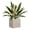 12-leaf Stylea, variant on Artificial Plant Outdoor UV Resistant Faux Agave Plant, 2026 Large Fake Boston Ferns & Hosta Greenery in Pot, Realistic Plastic Shrubs for Front Porch Patio Garden Poolside Indoor Home Decor