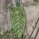 thumbnail image 4 of Toalla de mano con forma de hoja, de doble cara, para colgar, sin pelusa, absorbente, con lazo para usar en la cocina y el baño., 4 of 8