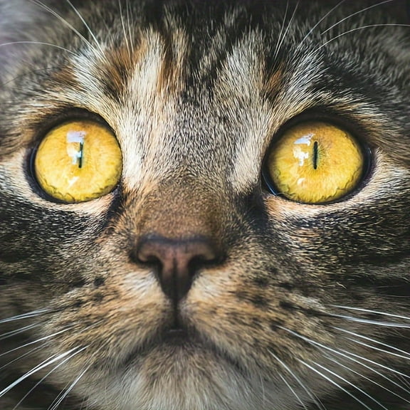 5D Diamond Painting Kits for Adults Animal Theme Large-Faced Kitty DIY Diamond Art for Adults Beginners Picture Art Crystal Painting for Home Wall Decor