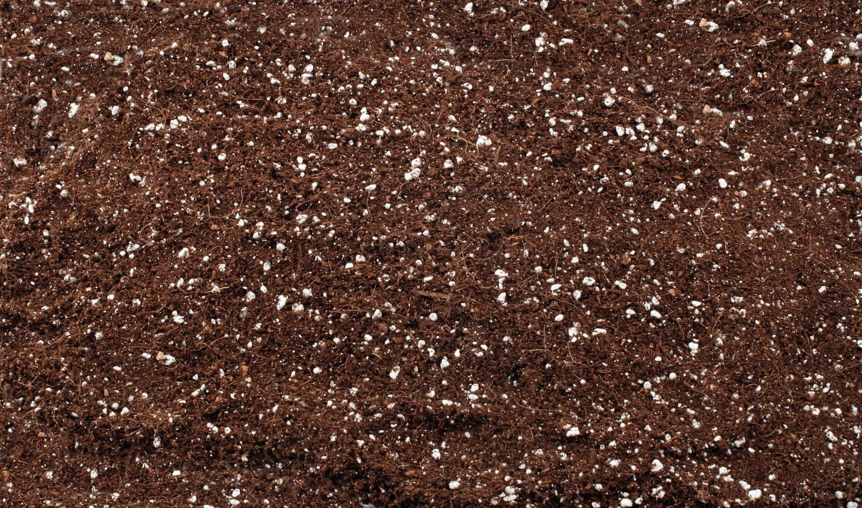WJSP Perlite Mix 1.8 cu Ft for Container Gardening