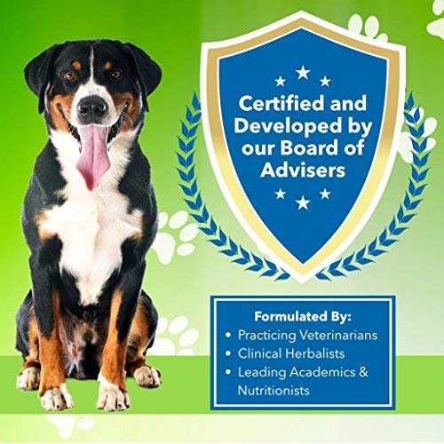 Pet Wellbeing Throat Gold For Dogs Dogs Cough Throat Soother Walmart Com Walmart Com