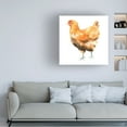 thumbnail image 3 of Emma Scarvey 'Wild Chicken II' Canvas Art, 3 of 3