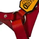 thumbnail image 3 of Pechera/ Arnés Para Perro 100% Piel Resistente Talla Grande, 3 of 4
