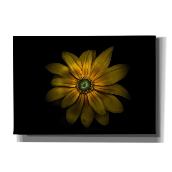 Epic Graffiti 'Backyard Flowers 34 Color Version' by Brian Carson, Giclee Canvas Wall Art, 26"x18"