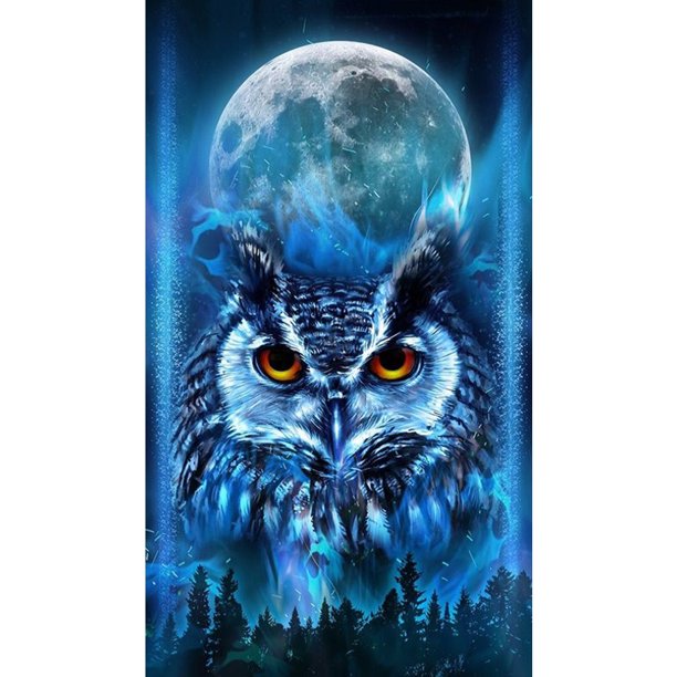 5D DIY Diamond Painting Kits Moon Owl Taladro redondo completo Pared Decoración del hogar Regalo Likrtyny Arte deco