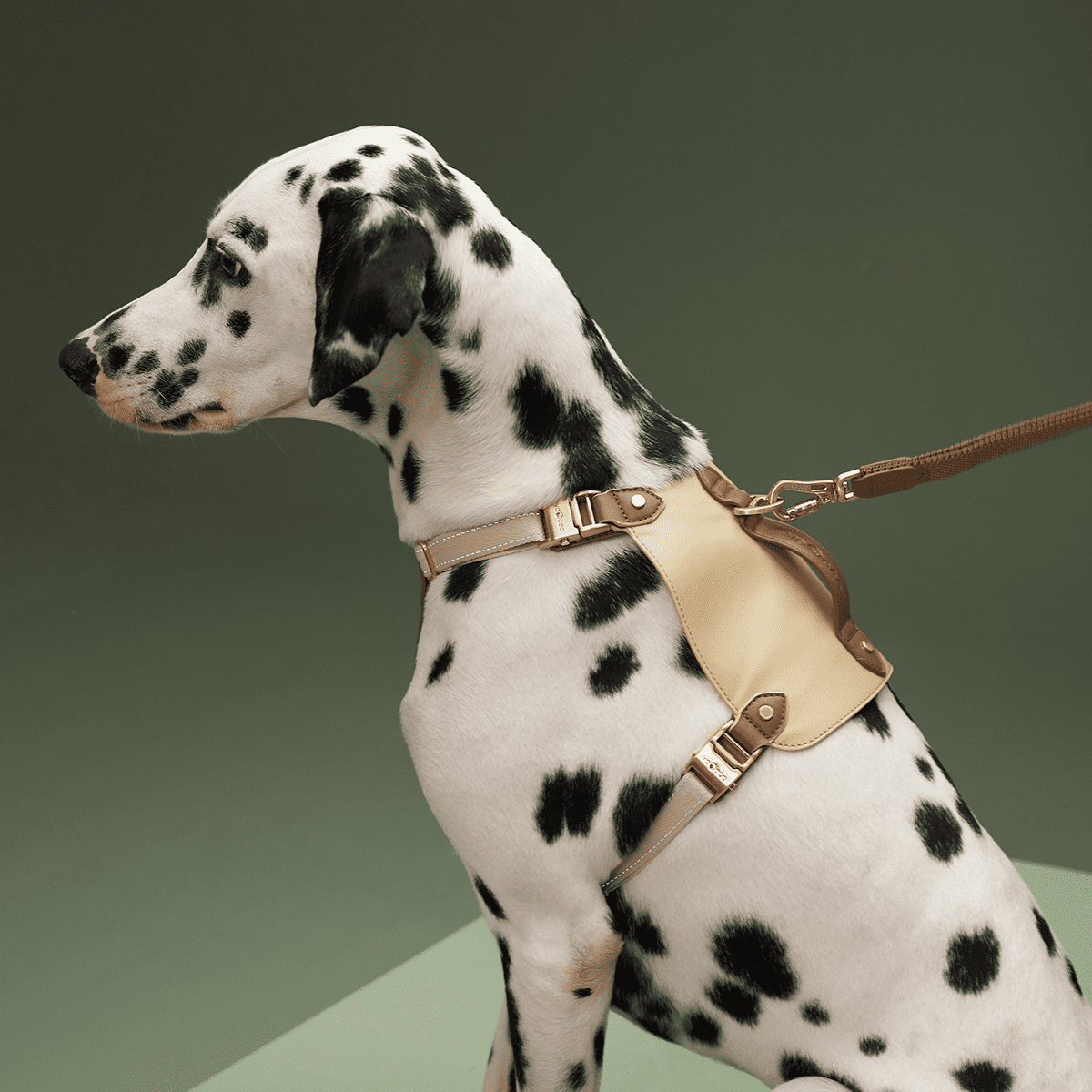 Dog Harness and Leash Set, Puppy No Pull Harness with Reflective Leash, PU Leather Pet Harness with Handle Neck & Chest Adjustable for Walking, Running