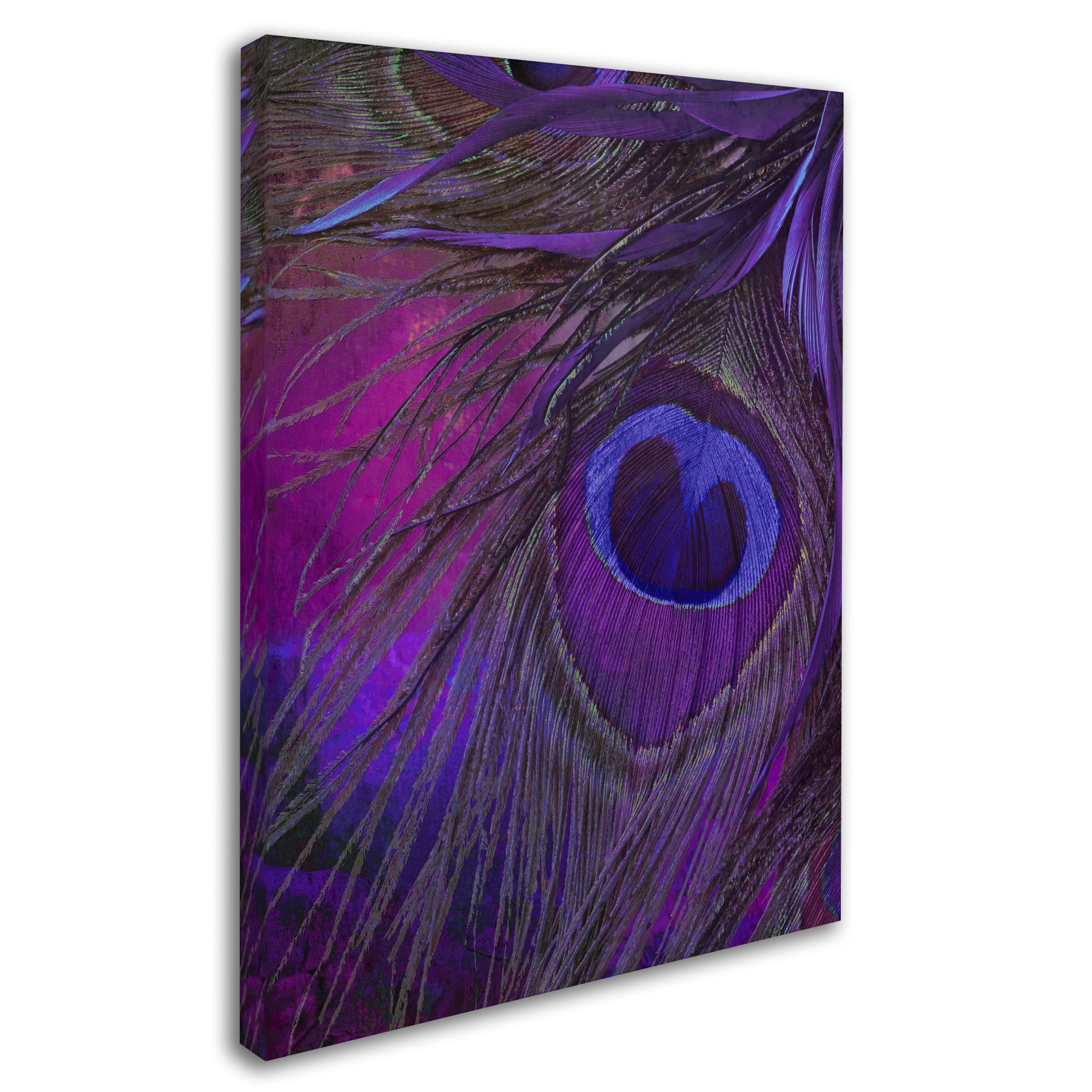 Trademark Fine Art "Peacock Candy IV" Canvas Art by Color Bakery