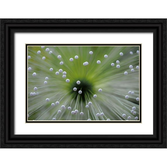 Faber, Wave 18x13 Black Ornate Wood Framed with Double Matting Museum Art Print Titled - Green and White II
