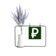 thumbnail image 1 of Símbolo de moneda peso PHP Filipinas Tarjeta de jarrón de lavanda artificial, 1 of 3