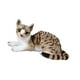 thumbnail image 4 of Juguete de peluche de gato, animal de peluche de gato, cara expresiva, abrazable, gato de peluche realista gris 30 cm, 4 of 9