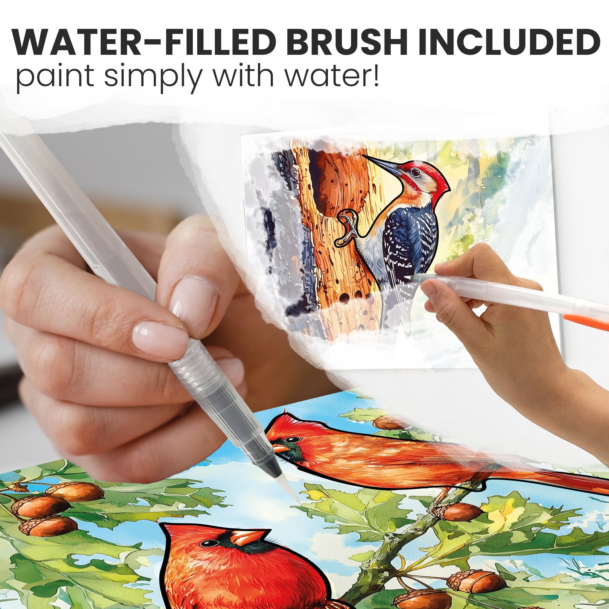 Quokka Water Painting Kits - Alzheimers Activities & Dementia for Seniors - 10Pack Songbird Serenity