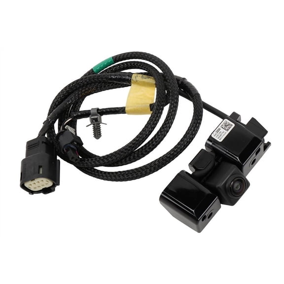Rear Park Assist Camera
