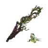 Reptile Bend-A-Branch Vines with Moss Bendable Jungle Climbing Vine Pet Habitat Decor for Bearded Dragons Chameleon Geckos Snakes Lizards Frogs