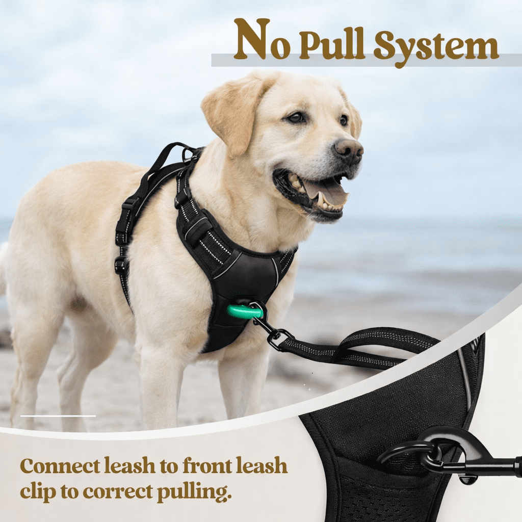 Adjustable No Pull Dog Harness with Leash and Poop Bag Dispenser Set – Reflective and Comfortable for Walking & Outdoor Activities
